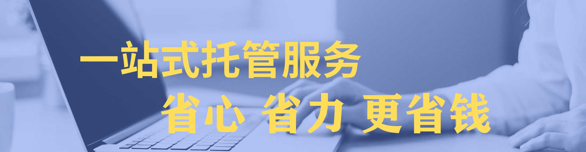 大树百度怎么推广